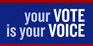 your voice is your vote
